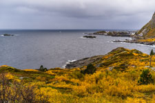 Am Hamnøyvatnet. Insel Moskenesøya