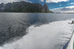 Moskenesøya. Zum Berg Hermannsdalstinden. Reinefjorden