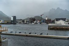 Lofoten. Hafen von Svolvær