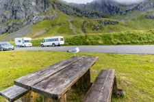 Lofoten. Flakstad. Eine Möwe