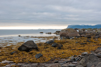 Sløverfjorden. Ufer