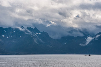 Vesterålen. Hadselfjorden