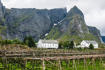 Lofoten. Moskenesøy. Reine. Stockfischtrockner