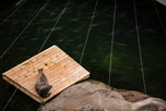 Lofoten. Insel Austvågøya. Kabelvåg. Aquarium