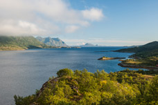 Austensfjorden. Sildpollneset