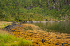 Sløverfjorden. Austpollen