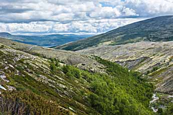 Rondane. Wanderweg: Bjørnholia-Rondvassbu