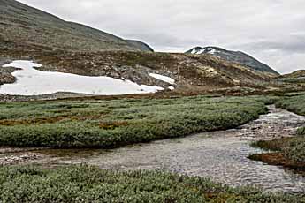 Rondane. Wanderweg: Bjørnholia-Rondvassbu