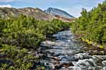 Rondane. Wanderweg: Dørålseter-Bjørnholia (über Høgronden)