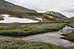 Rondane. Wanderweg: Bjørnholia-Rondvassbu
