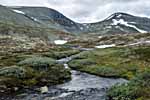 Rondane. Wanderweg: Bjørnholia-Rondvassbu
