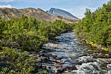 Rondane. Wanderweg: Dørålseter-Bjørnholia (über Høgronden)