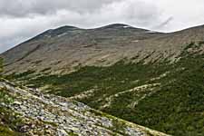 Rondane. Wanderweg: Dørålseter-Bjørnholia (über Høgronden)