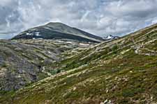 Rondane. Wanderweg: Bjørnholia-Rondvassbu