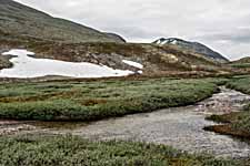 Rondane. Wanderweg: Bjørnholia-Rondvassbu
