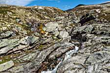 Rondane. Wanderweg: Rondvassbu-Dørålseter