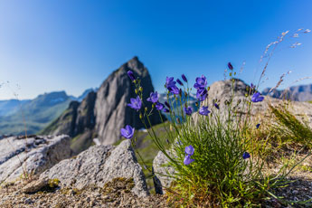 Am Stavelitippen. Zum Berg Inste Kongen