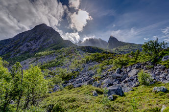 zum Berg Sukkertoppen. Blick zum Berg
