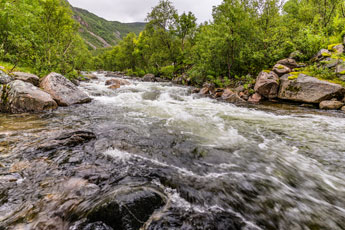 Gjeskeelva