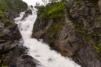 Botnelva