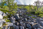 Aufstieg zum Plateau. Auf dem Wege zum Kvænan