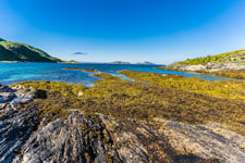 Laukvika. Insel Senja