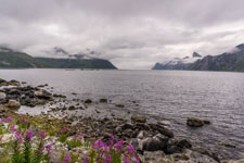 Blick zum Mefjord