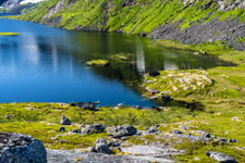 Ferienhäuser am Svartholvatnet