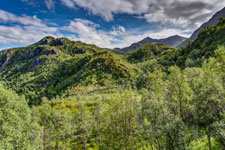 zum Berg Sukkertoppen