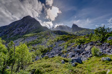 zum Berg Sukkertoppen. Blick zum Berg