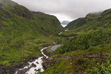 Botnelva