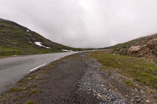 Rentiere am Kaperskaret