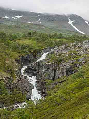 Litlsvartåa