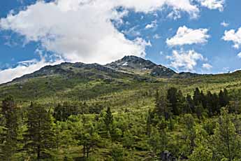 Landschaft