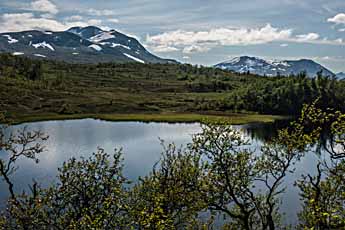 ein Teich