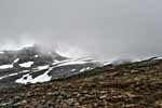 Nebel