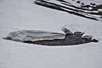 schmelzender Schnee