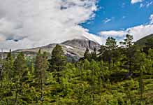 Berg Geithøtta