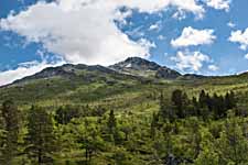 Landschaft