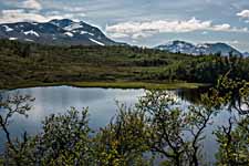 ein Teich