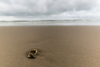 Hirtshals. Nordsee. Strand
