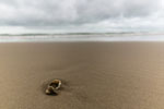 Hirtshals. Nordsee. Strand