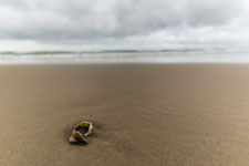 Hirtshals. Nordsee. Strand
