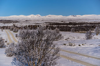 Nördlich von Dombås. Norwegen