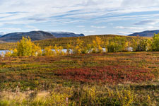 Am Torneträsk. Schweden