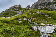 Grass und Berge