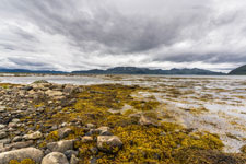 Blick zum Risøysundet
