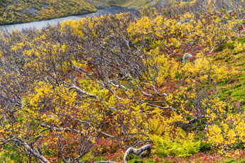 zum Berg Måtinden. Insel Andøya