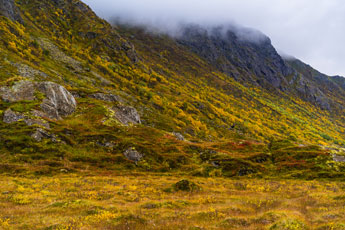 Dronningruta. Insel Langøya