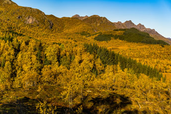 Herbst. Insel Langøya